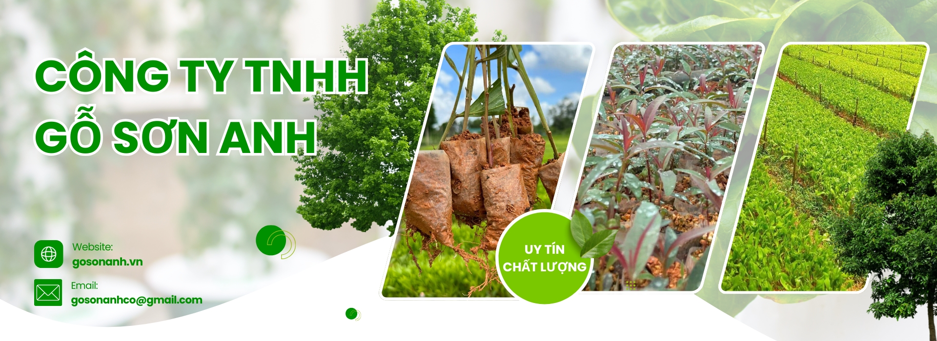 gỗ xẻ Công ty Gỗ Sơn Anh - Cung cấp gỗ xẻ, gỗ tròn, ván bóc, dăm gỗ... chuyên nghiệp