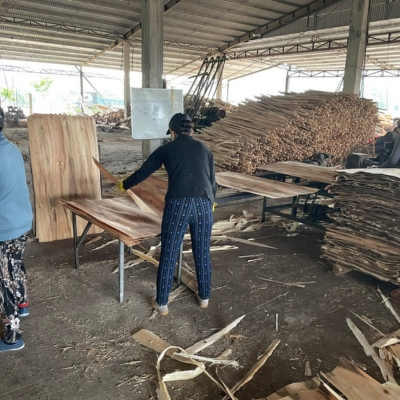 Công ty Gỗ Sơn Anh chuyên cung cấp gỗ tròn, gỗ xẻ sấy, dăm gỗ...