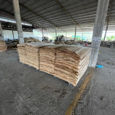 Công ty Gỗ Sơn Anh chuyên cung cấp gỗ tròn, gỗ xẻ sấy, dăm gỗ...