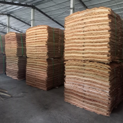 Công ty Gỗ Sơn Anh chuyên cung cấp gỗ tròn, gỗ xẻ sấy, dăm gỗ...