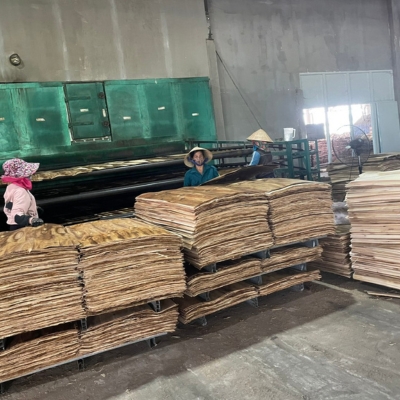 Công ty Gỗ Sơn Anh chuyên cung cấp gỗ tròn, gỗ xẻ sấy, dăm gỗ...