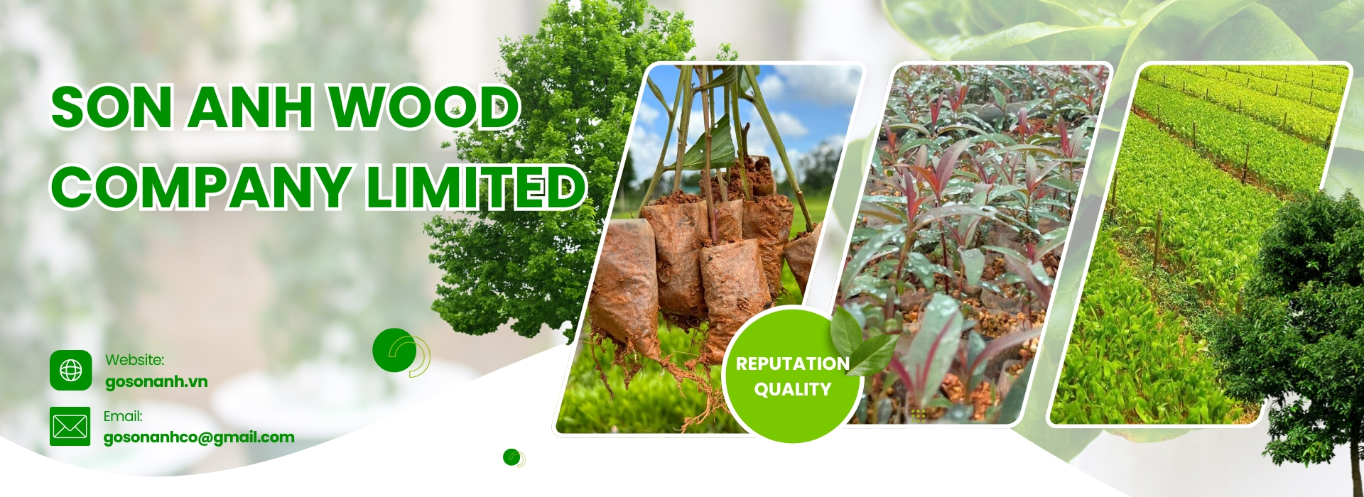 lumber Công ty Gỗ Sơn Anh - Cung cấp gỗ xẻ, gỗ tròn, ván bóc, dăm gỗ... chuyên nghiệp