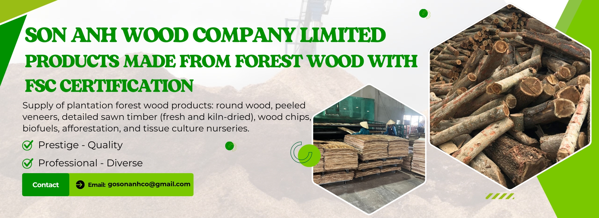 lumber Công ty Gỗ Sơn Anh - Cung cấp gỗ xẻ, gỗ tròn, ván bóc, dăm gỗ... chuyên nghiệp