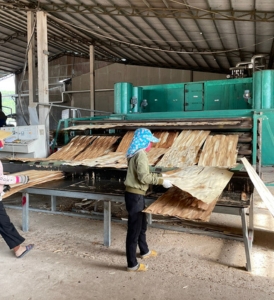 lumber Công ty Sơn Anh chuyên cung cấp gỗ tròn, gỗ xẻ sấy, dăm gỗ...