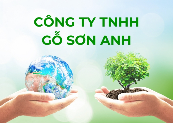 gỗ xẻ Công ty Gỗ Sơn Anh - Cung cấp gỗ xẻ, gỗ tròn, ván bóc, dăm gỗ... chuyên nghiệp