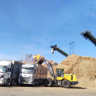 lumber Công ty Sơn Anh chuyên cung cấp gỗ tròn, gỗ xẻ sấy, dăm gỗ...