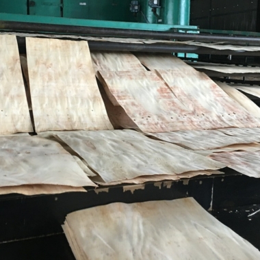 lumber gỗ xẻ