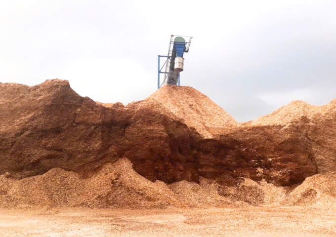 lumber Công ty Sơn Anh chuyên cung cấp gỗ tròn, gỗ xẻ sấy, dăm gỗ...