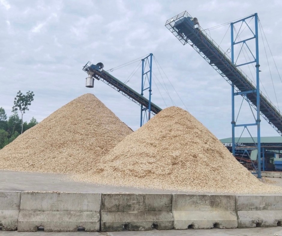 Địa chỉ sản xuất dăm gỗ uy tín, chất lượng - Gỗ Sơn Anh