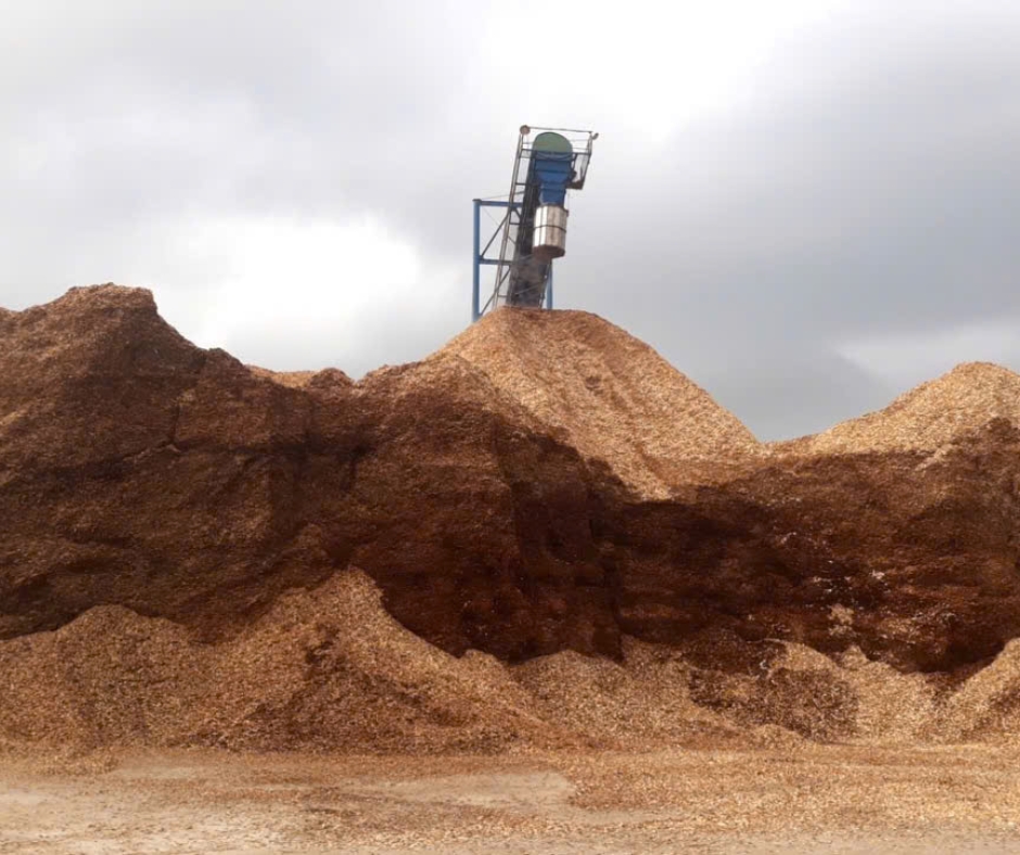 Địa chỉ sản xuất dăm gỗ uy tín, chất lượng - Gỗ Sơn Anh