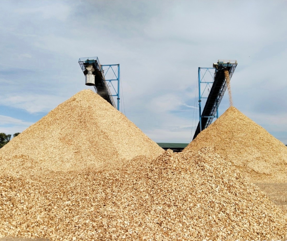 Địa chỉ sản xuất dăm gỗ uy tín, chất lượng - Gỗ Sơn Anh