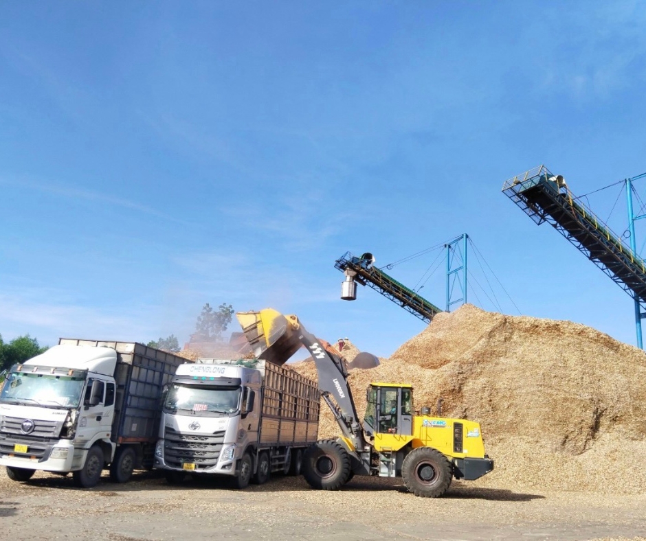 Địa chỉ sản xuất dăm gỗ uy tín, chất lượng - Gỗ Sơn Anh