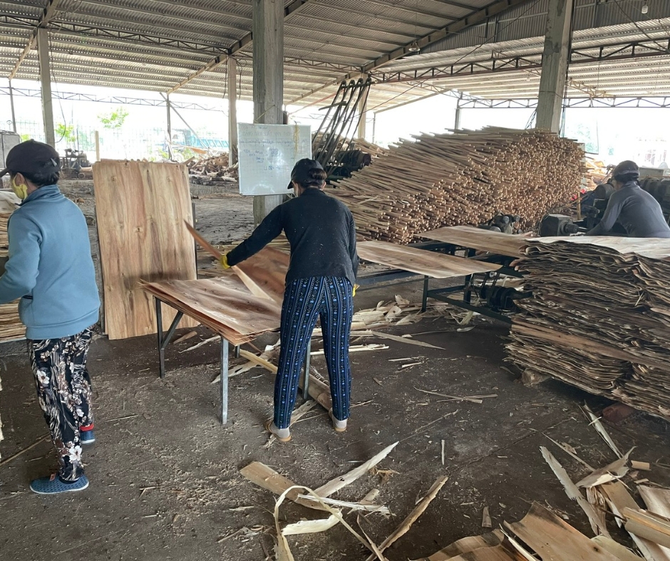 ván bóc Đơn vị cung cấp ván bóc tươi và sấy khô - Công ty Gỗ Sơn Anh