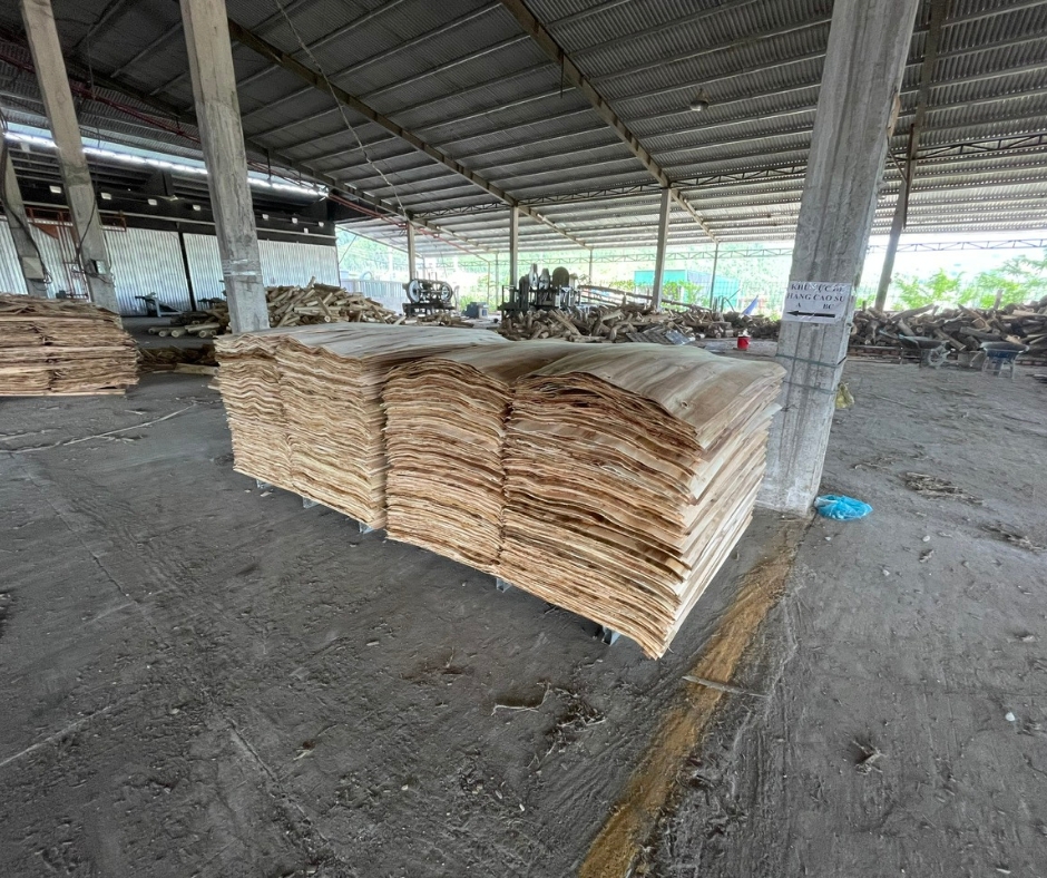 ván bóc Đơn vị cung cấp ván bóc tươi và sấy khô - Công ty Gỗ Sơn Anh