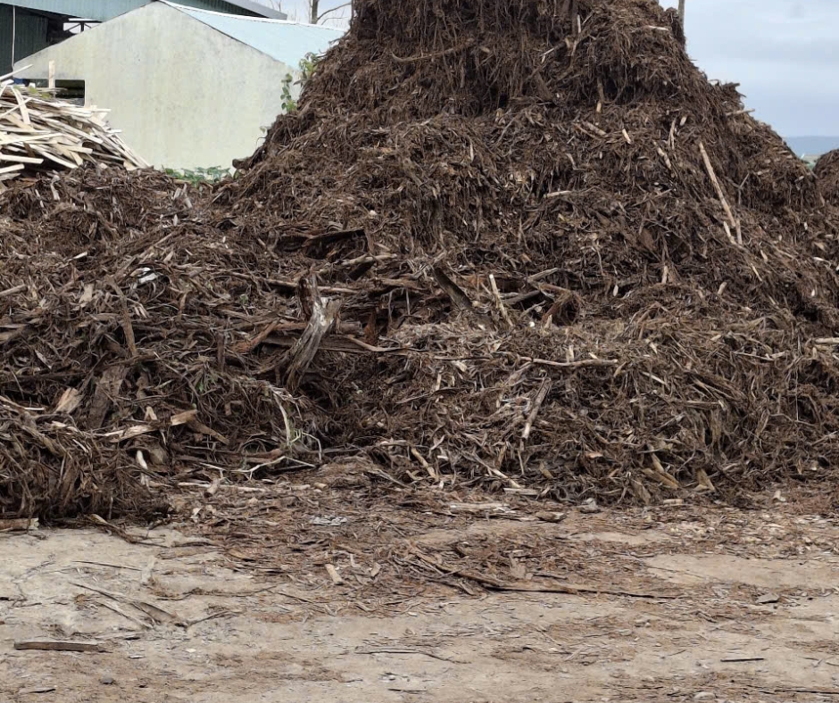 Sản xuất chất đốt sinh học xuất khẩu