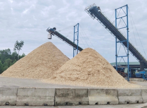 lumber Công ty Sơn Anh chuyên cung cấp gỗ tròn, gỗ xẻ sấy, dăm gỗ...