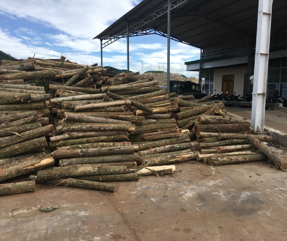 Công ty gỗ Sơn Anh