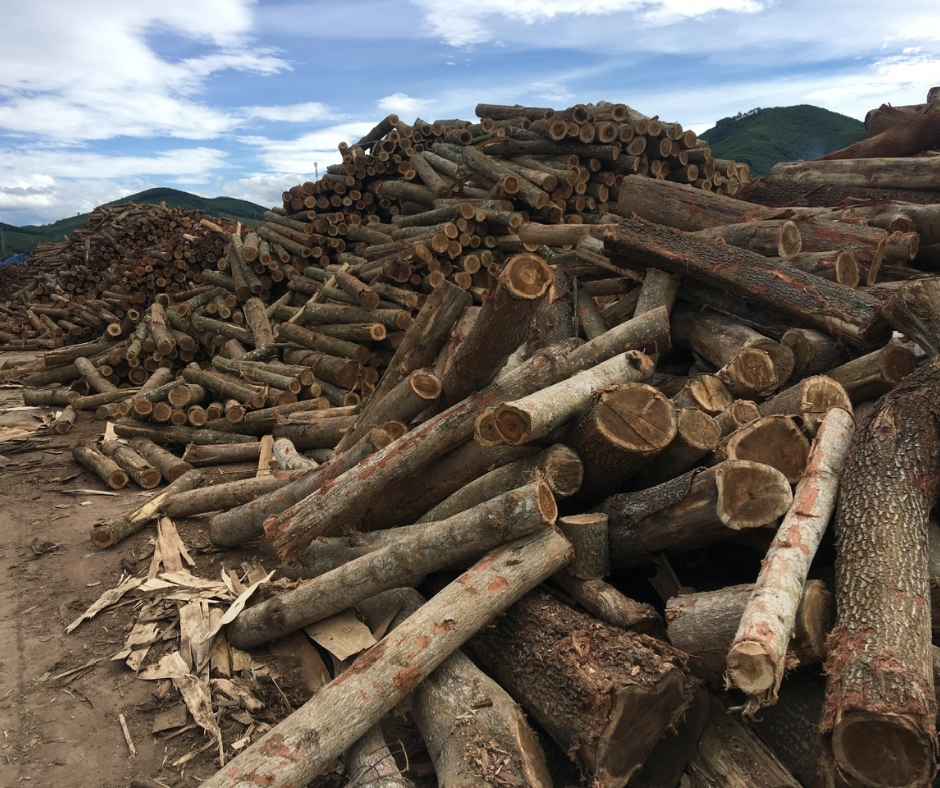 Công ty gỗ Sơn Anh