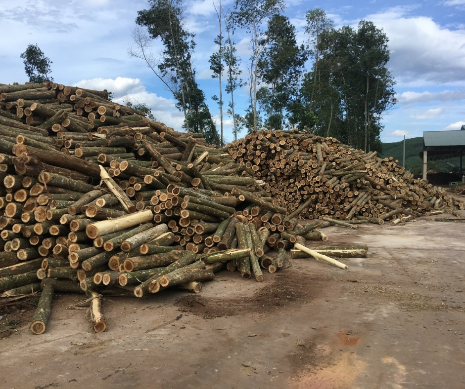 Công ty gỗ Sơn Anh