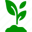 lumber gỗ xẻ