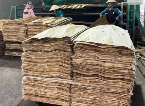 lumber Công ty Sơn Anh chuyên cung cấp gỗ tròn, gỗ xẻ sấy, dăm gỗ...
